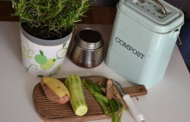 Eco-Friendly Product Reviews: Your Path to Sustainable Income